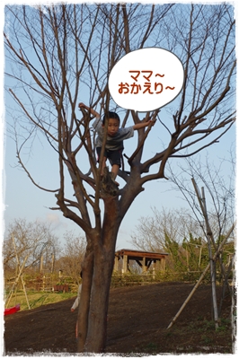 慶