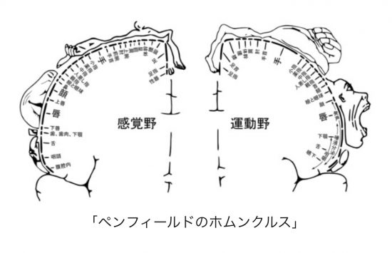 C50B9478-DB99-40C2-BD2A-FAC26BDBFA56